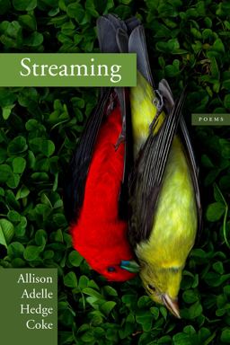 Streaming  9781566893756 Front Cover