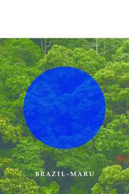 Brazil-Maru  9781566894845 Front Cover