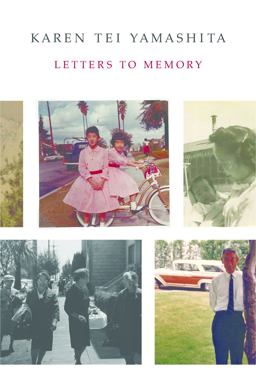 Letters to Memory  9781566894876 Front Cover