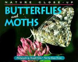 Butterflies and Moths
