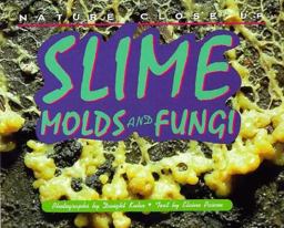 Slime, Molds and Fungi