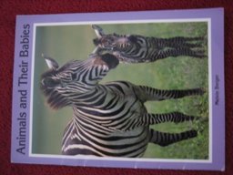 Animals and Their Babies