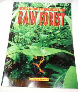 Life in the Rain Forest (Big Book)