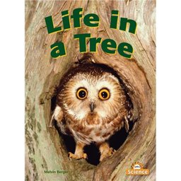 Life in a Tree