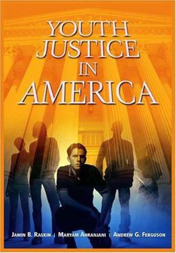 Youth Justice in America  9781568029870 Front Cover