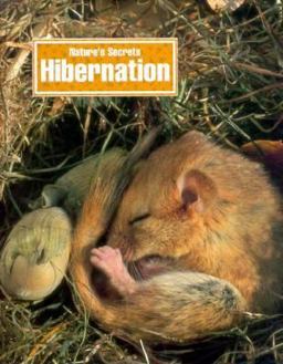 Hibernation