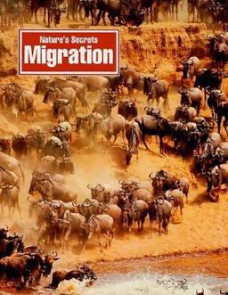 Migration