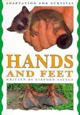 Hands and Feet