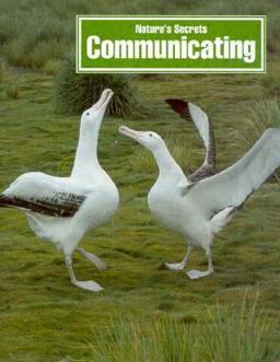 Communicating