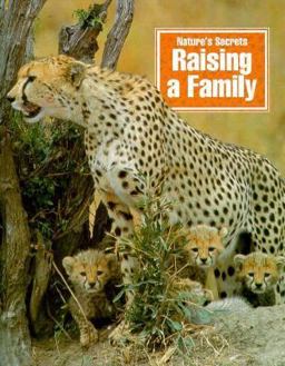 Raising a Family
