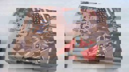 Johnny Reb and Billy Yank