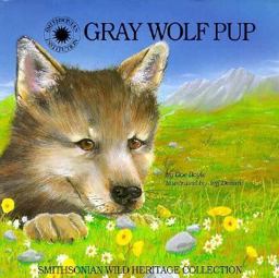 Gray Wolf Pup Gray Wolf Pup