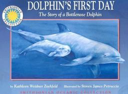 Dolphin's First Day