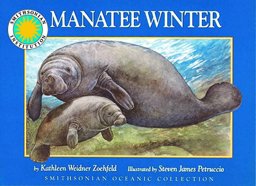 Manatee Winter