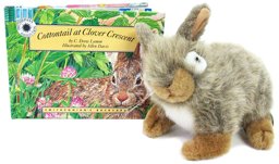 Cottontail at Clover Crescent