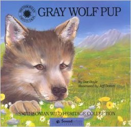 Gray Wolf Pup Gray Wolf Pup