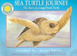 Sea Turtle Journey