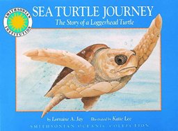 Sea Turtle Journey