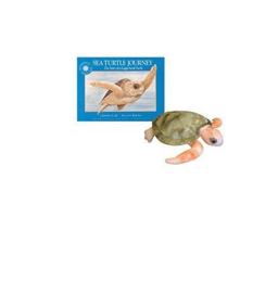 Sea Turtle Journey