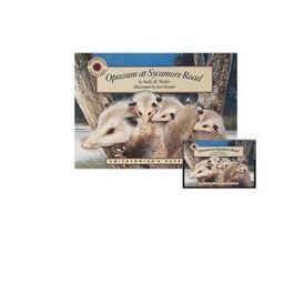 Opossum at Sycamore Road