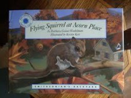Flying Squirrel at Acorn Place