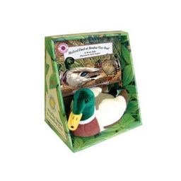 Mallard Duck at Meadow View Pond