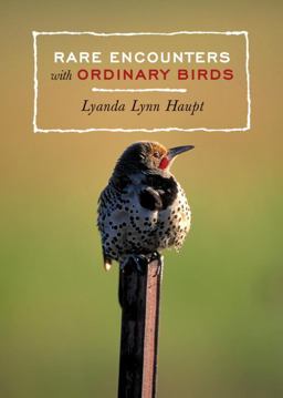 Rare Encounters with Ordinary Birds  9781570614194 Front Cover