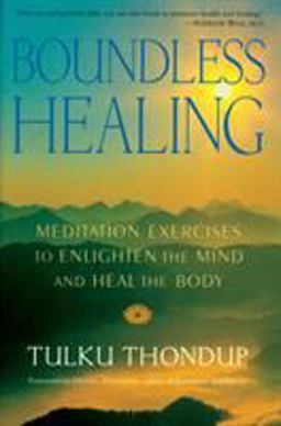 Boundless Healing Meditation Exercises to Enlighten the Mind and Heal the Body  9781570628788 Front Cover