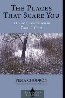 Places That Scare You A Guide to Fearlessness in Difficult Times  9781570629211 Front Cover