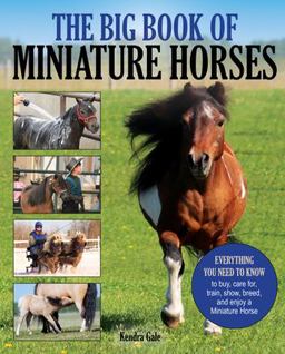 Big Book of Miniature Horses Everything You Need to Know to Buy, Care for, Train, Show, Breed, and Enjoy a Miniature Horse of Your Own  9781570768200 Front Cover