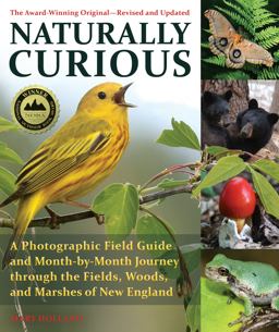 Naturally Curious A Photographic Field Guide and Month-By-Month Journey Through the Fields, Woods, and Marshes of New England  9781570769320 Front Cover