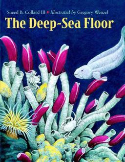 Deep-Sea Floor  9781570914034 Front Cover