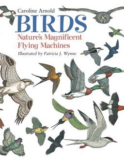 Birds Nature's Magnificent Flying Machines  9781570915727 Front Cover