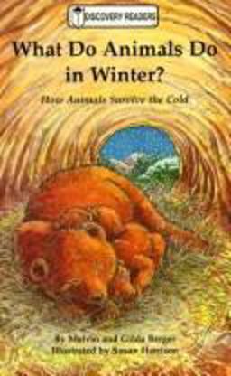 What Do Animals Do in Winter?