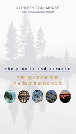 Pine Island Paradox Making Connections in a Disconnected World  9781571312815 Front Cover