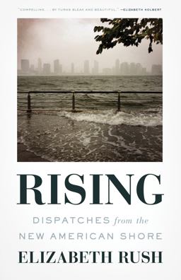 Rising Dispatches from the New American Shore  9781571313676 Front Cover