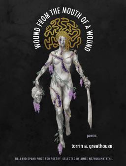 Wound from the Mouth of a Wound  9781571315274 Front Cover