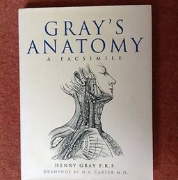 Gray's Anatomy