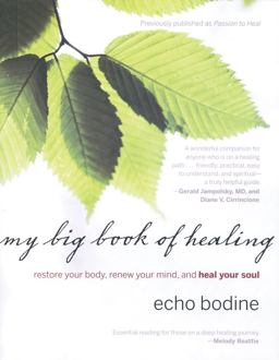 My Big Book of Healing Restore Your Body, Renew Your Mind, and Heal Your Soul  9781571745880 Front Cover