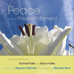 Peace in the Present Moment  9781571746436 Front Cover