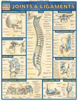 Joints and Ligaments QuickStudy Laminated Reference Chart  9781572226845 Front Cover