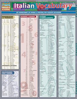 Italian Vocabulary QuickStudy Laminated Reference Guide  9781572228283 Front Cover