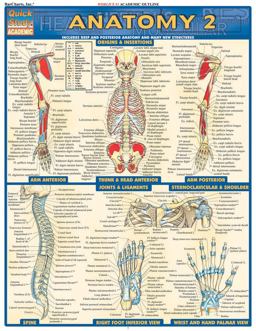 Anatomy 2 - Reference Guide (8. 5 X 11) A QuickStudy Laminated Reference Guide  9781572228566 Front Cover