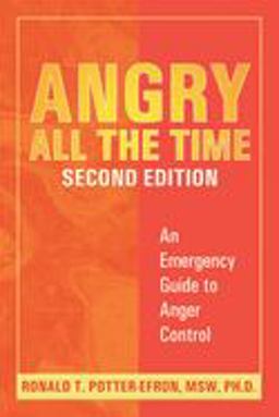 Angry All the Time An Emergency Guide to Anger Control 2nd 9781572243927 Front Cover