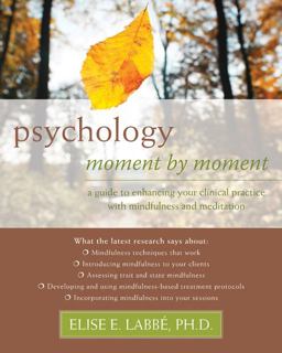 Psychology Moment by Moment A Guide to Enhancing Your Clinical Practice with Mindfulness and Meditation  9781572248953 Front Cover