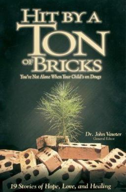 Hit by a Ton of Bricks You're Not Alone When Your Child's on Drugs  9781572294271 Front Cover