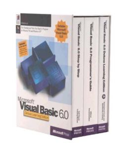 Microsoft Visual Basic 6.0