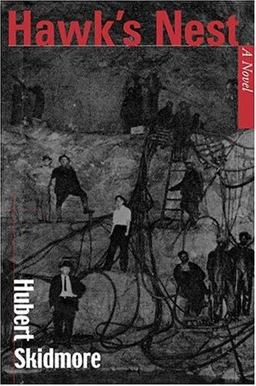 Hawk's Nest A Novel  9781572332805 Front Cover
