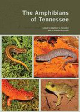 Amphibians of Tennessee  9781572337626 Front Cover