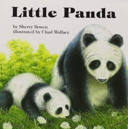 Little Panda